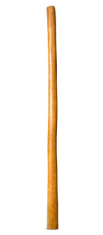 Gloss Finish Didgeridoo (TW1170)